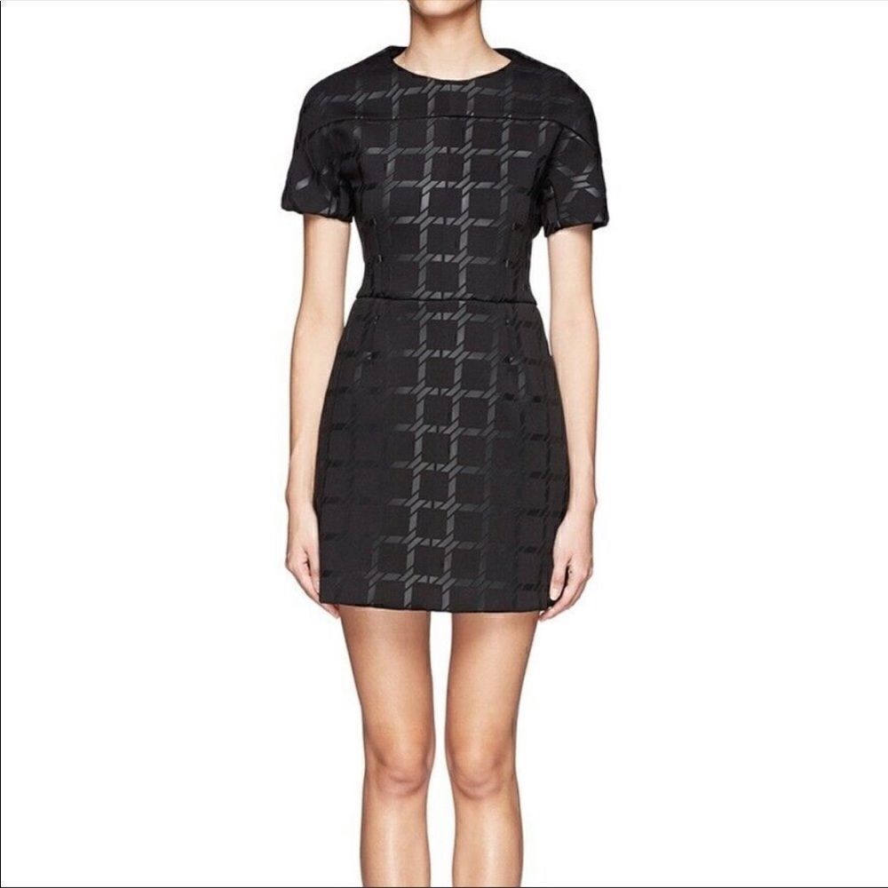 Tbyalexanderwangdress